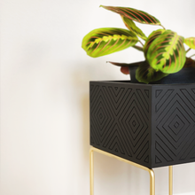 Lade das Bild in den Galerie-Viewer, nevi the plantbox (Pflanzenbox klein)