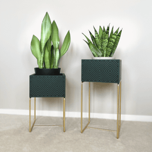 Lade das Bild in den Galerie-Viewer, nevi the plantbox (Pflanzenbox mittelgross)