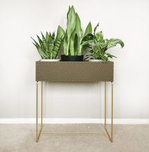 Lade das Bild in den Galerie-Viewer, nevi the plantbox (Pflanzenbox gross)