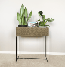 Lade das Bild in den Galerie-Viewer, nevi the plantbox (Pflanzenbox gross)