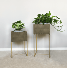 Lade das Bild in den Galerie-Viewer, nevi the plantbox (Pflanzenbox klein)