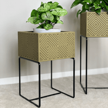 Lade das Bild in den Galerie-Viewer, nevi the plantbox (Pflanzenbox klein)