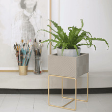 Lade das Bild in den Galerie-Viewer, nevi the plantbox (Pflanzenbox klein)