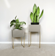 Lade das Bild in den Galerie-Viewer, nevi the plantbox (Pflanzenbox mittelgross)