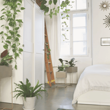 Lade das Bild in den Galerie-Viewer, nevi the plantbox (Pflanzenbox klein)