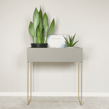 Lade das Bild in den Galerie-Viewer, nevi the plantbox (Pflanzenbox gross)