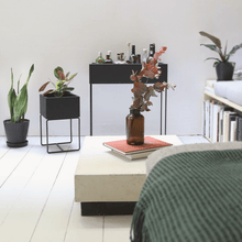 Lade das Bild in den Galerie-Viewer, nevi the plantbox (Pflanzenbox klein)