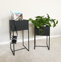 Lade das Bild in den Galerie-Viewer, nevi the plantbox (Pflanzenbox mittelgross)