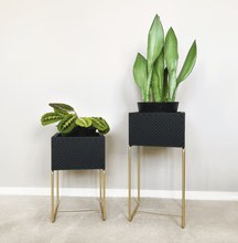 Lade das Bild in den Galerie-Viewer, nevi the plantbox (Pflanzenbox klein)