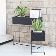 Lade das Bild in den Galerie-Viewer, nevi the plantbox (Pflanzenbox klein)