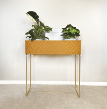 Lade das Bild in den Galerie-Viewer, nevi the plantbox (Pflanzenbox gross)