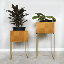 Lade das Bild in den Galerie-Viewer, nevi the plantbox (Pflanzenbox klein)