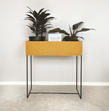 Lade das Bild in den Galerie-Viewer, nevi the plantbox (Pflanzenbox gross)