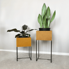 Lade das Bild in den Galerie-Viewer, nevi the plantbox (Pflanzenbox klein)