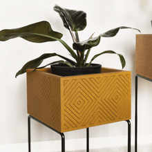 Lade das Bild in den Galerie-Viewer, nevi the plantbox (Pflanzenbox klein)