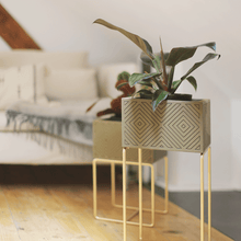 Lade das Bild in den Galerie-Viewer, nevi the plantbox (Pflanzenbox mittelgross)