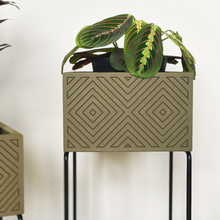Lade das Bild in den Galerie-Viewer, nevi the plantbox (Pflanzenbox mittelgross)
