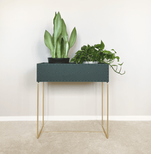 Lade das Bild in den Galerie-Viewer, nevi the plantbox (Pflanzenbox gross)
