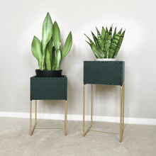 Lade das Bild in den Galerie-Viewer, nevi the plantbox (Pflanzenbox mittelgross)
