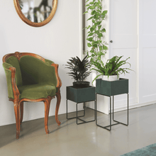 Lade das Bild in den Galerie-Viewer, nevi the plantbox (Pflanzenbox mittelgross)
