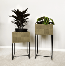 Lade das Bild in den Galerie-Viewer, nevi the plantbox (Pflanzenbox mittelgross)
