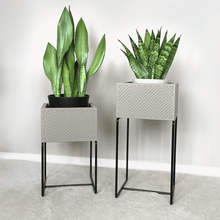 Lade das Bild in den Galerie-Viewer, nevi the plantbox (Pflanzenbox mittelgross)
