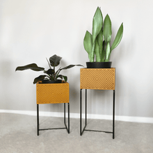 Lade das Bild in den Galerie-Viewer, nevi the plantbox (Pflanzenbox klein)
